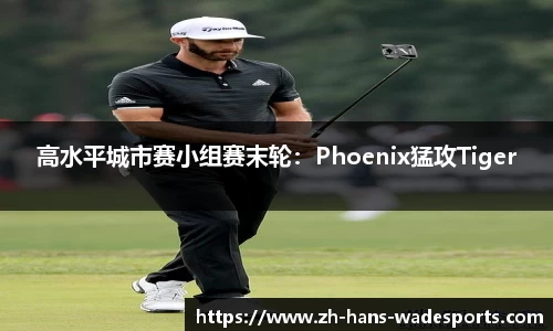 高水平城市赛小组赛末轮：Phoenix猛攻Tiger