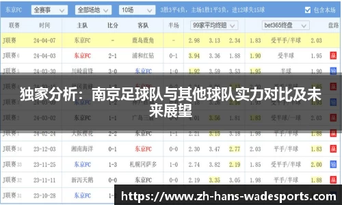 独家分析：南京足球队与其他球队实力对比及未来展望